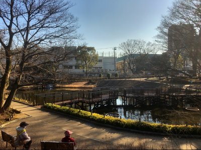 🌳 문고의 숲(분코노모리) 이미지 2